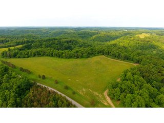 Property photo 42 - LAND AUCTION - 1,050+/- ACRES OFFERED IN 21 TRACTS PLUS 450+/- ACRE HUNTING LEASE IN MUSKINGUM COUNTY, OHIO